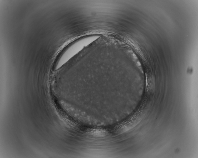 X0000098010348200804181141