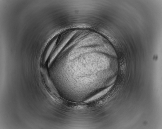 X0000098010350200804181141