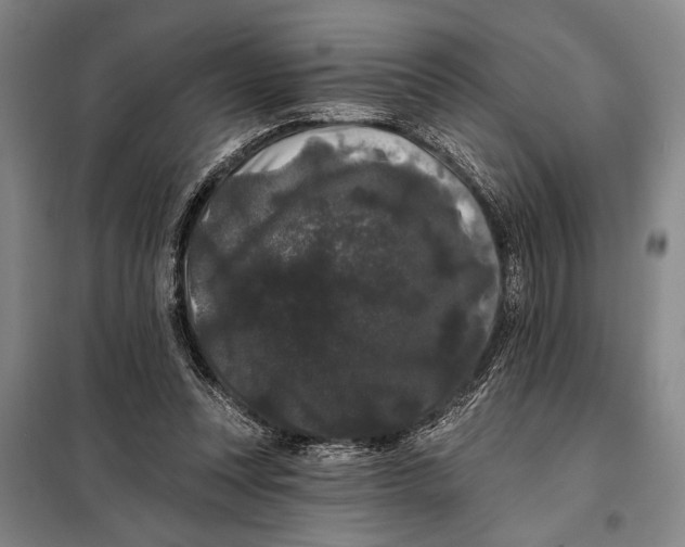 X0000098010351200804181141