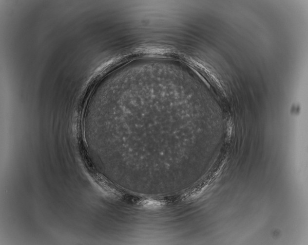 X0000098010352200804181141