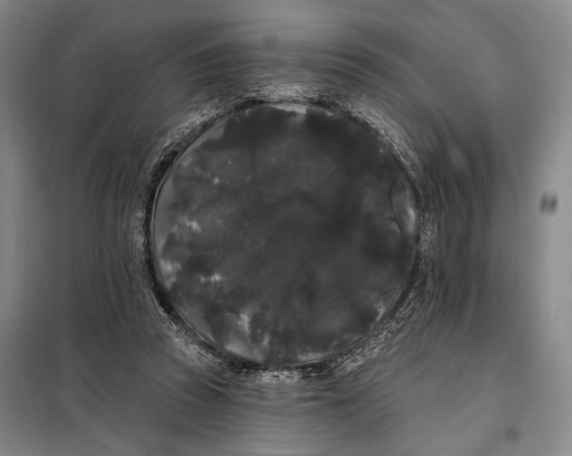 X0000098010353200804181141