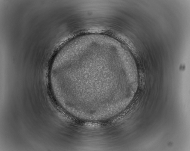 X0000098010354200804181141