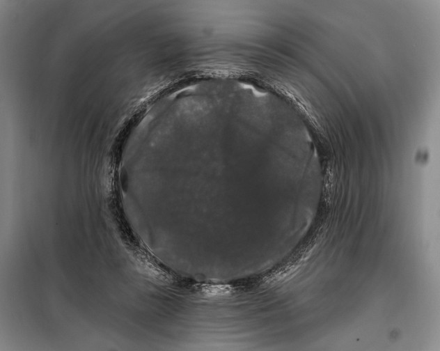 X0000098010355200804181141