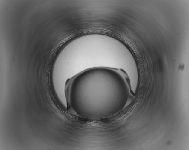 X0000098010356200804181141