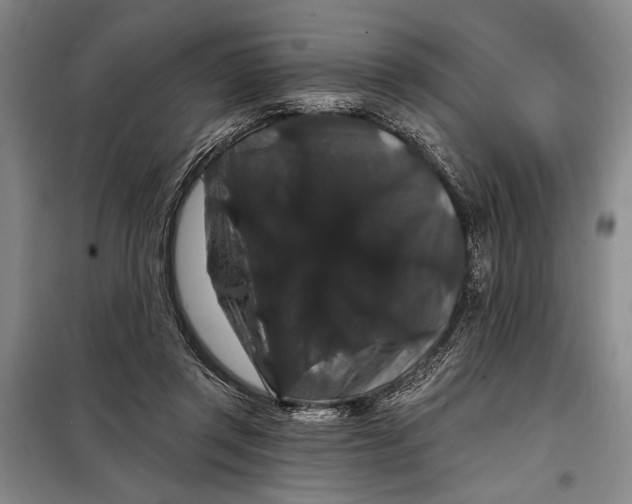 X0000098010357200804181141