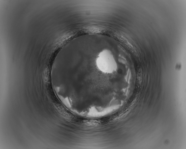 X0000098010359200804181141