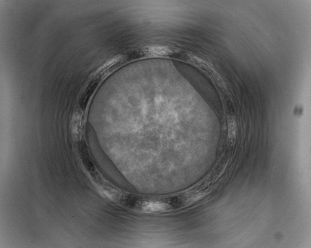 X0000098010360200804181141