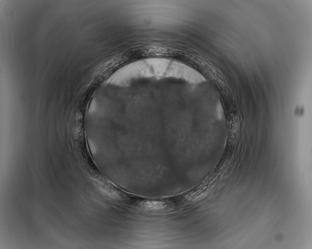 X0000098010361200804181141