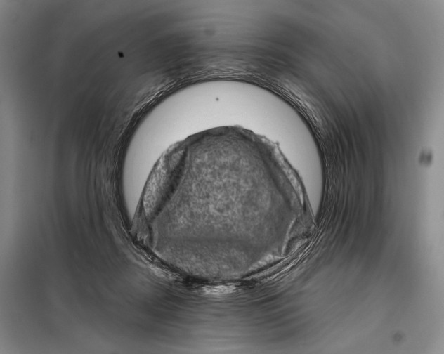 X0000098010362200804181141