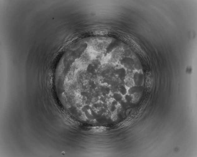 X0000098010363200804181141