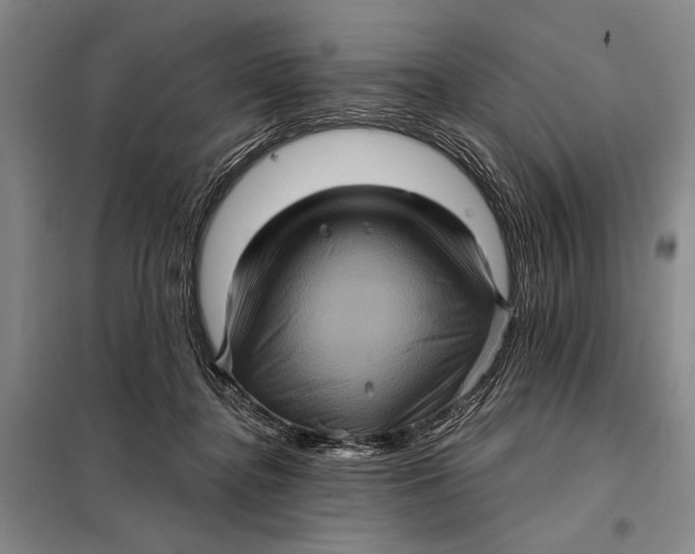 X0000098010364200804181141