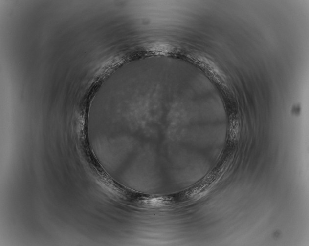 X0000098010365200804181141