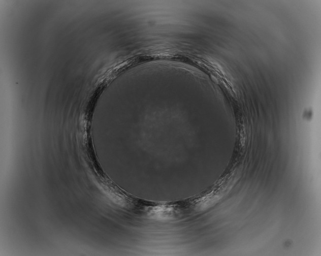 X0000098010366200804181141