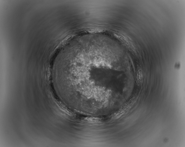 X0000098010367200804181141