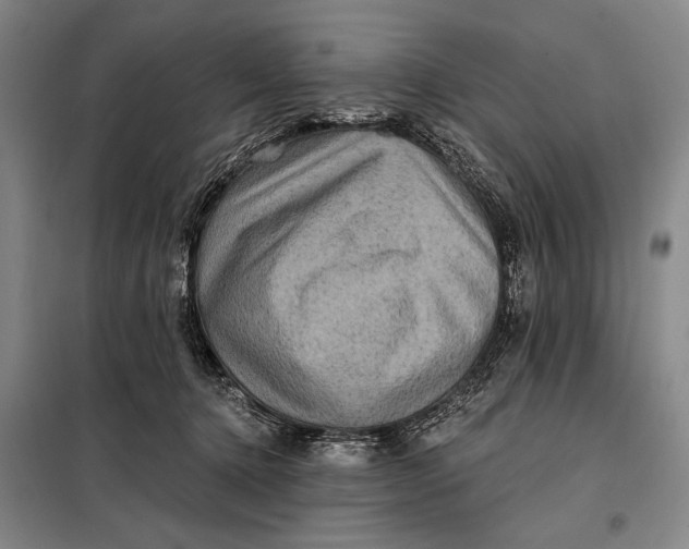 X0000098010368200804181141