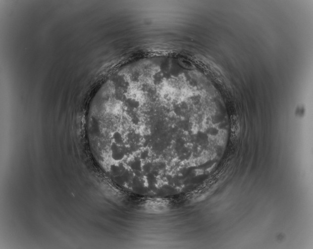 X0000098010369200804181142