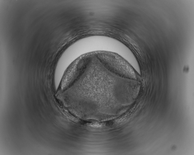 X0000098010370200804181142