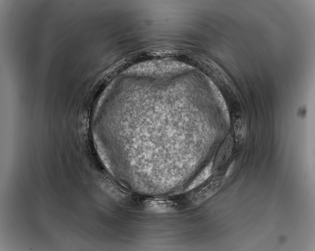 X0000098010372200804181142