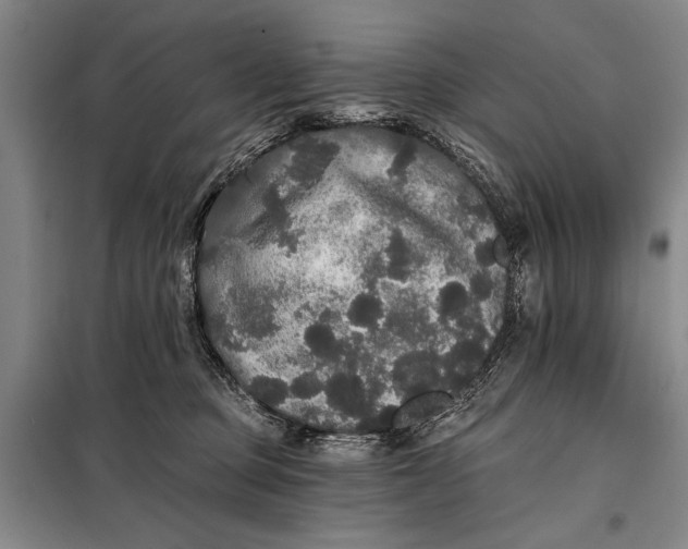 X0000098010373200804181142