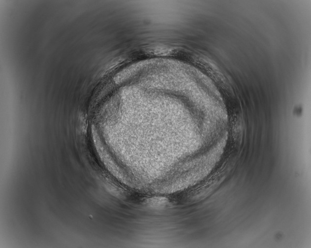 X0000098010374200804181142