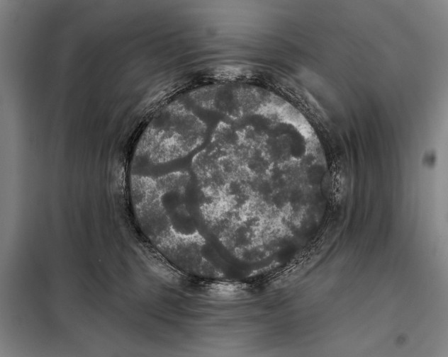 X0000098010375200804181142