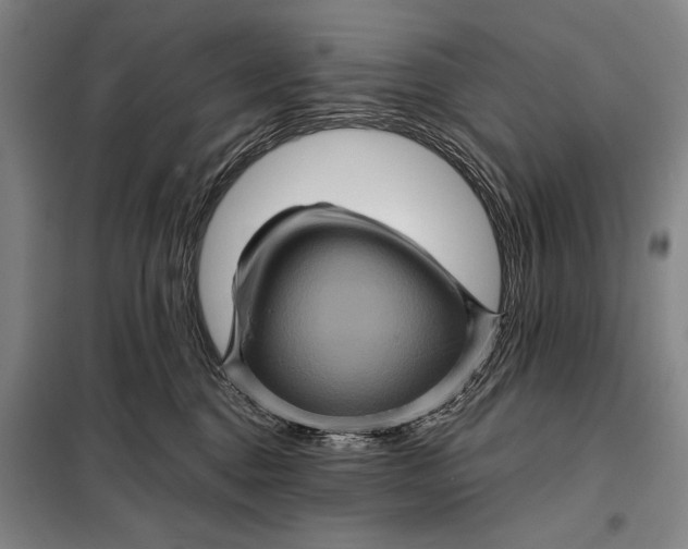 X0000098010376200804181142