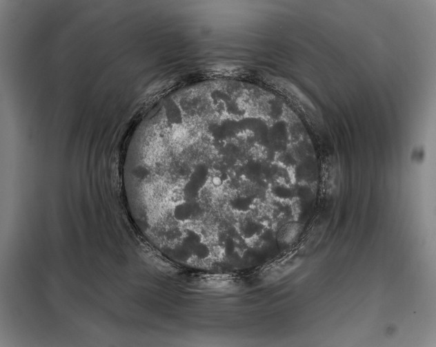 X0000098010377200804181142