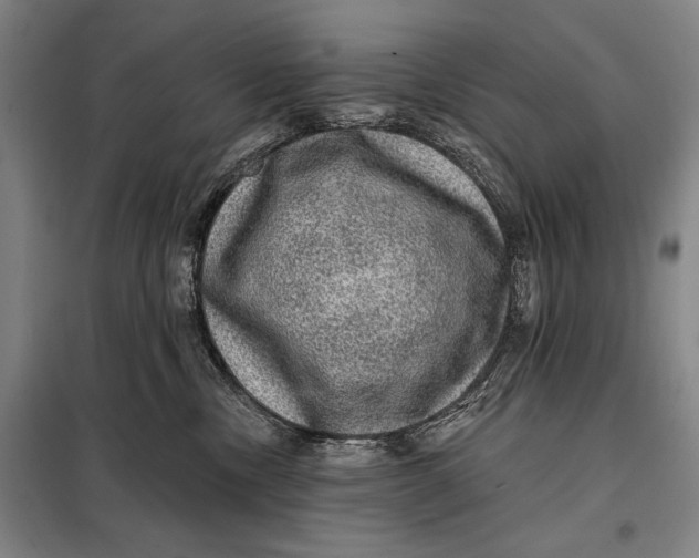 X0000098010378200804181142