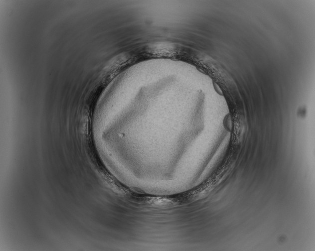 X0000098010379200804181142