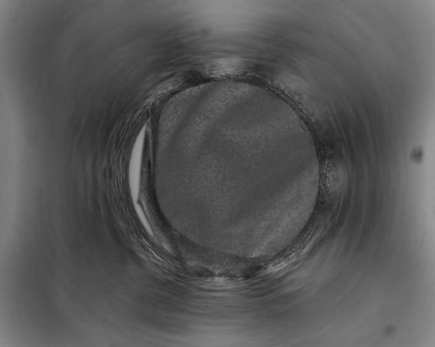 X0000098010380200804181142