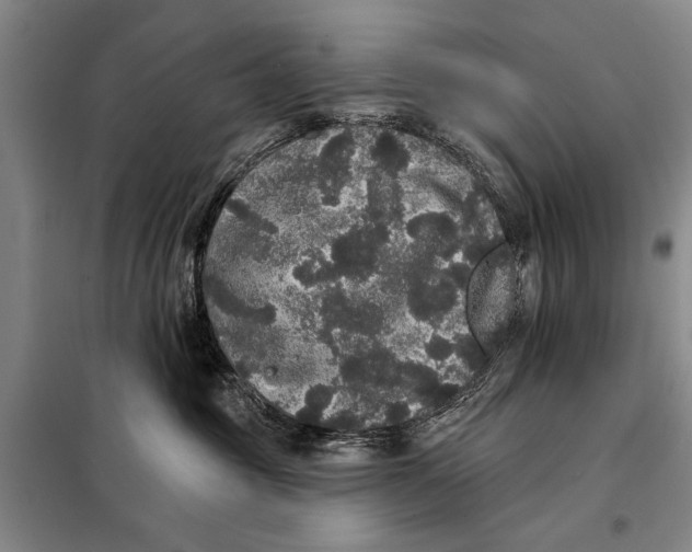 X0000098010381200804181142