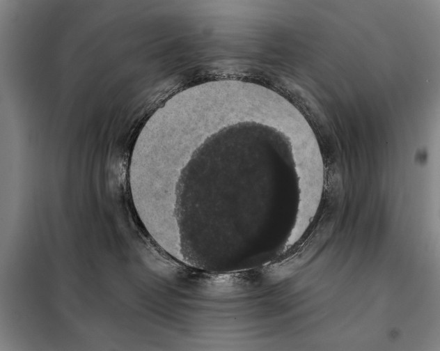 X0000098010382200804181142