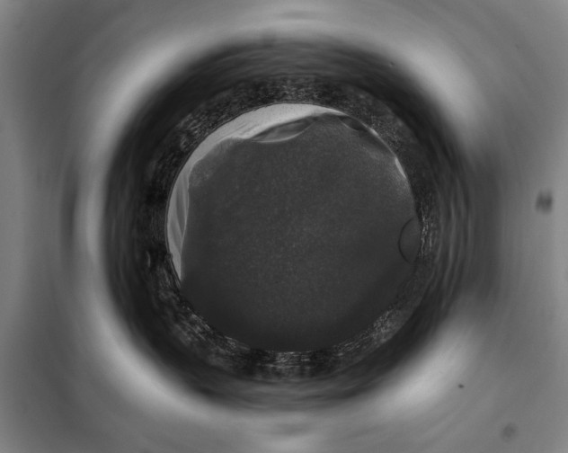 X0000098010383200804181142