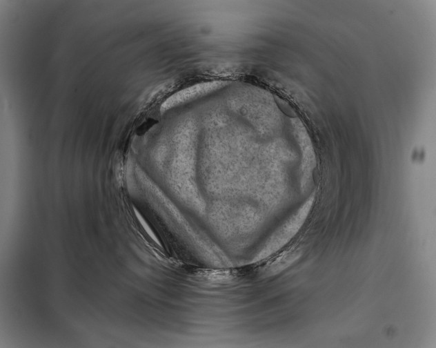 X0000098010384200804181142