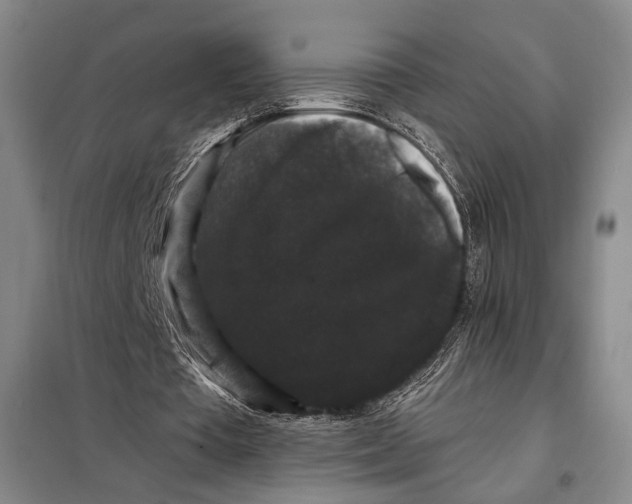 X0000098010385200804181141