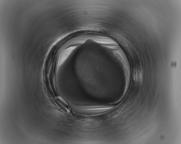 X0000098010388200804181141