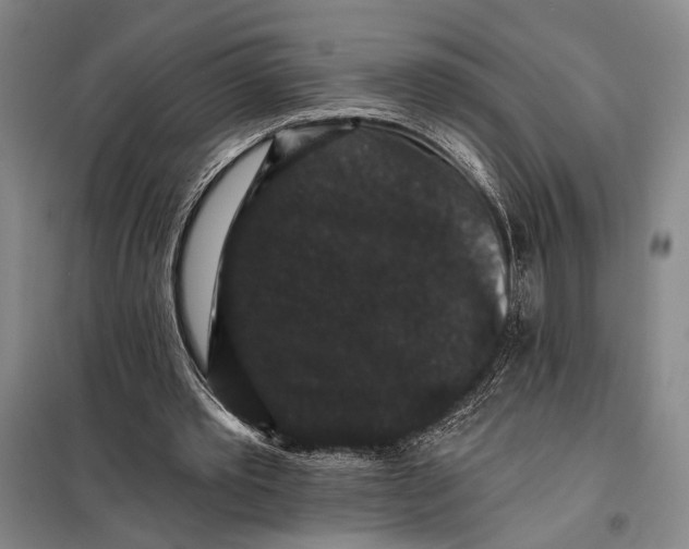 X0000098010389200804181141