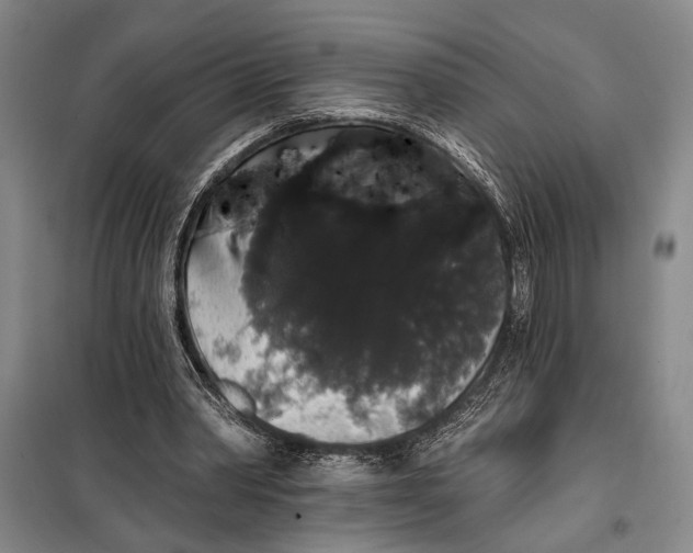 X0000098010390200804181141