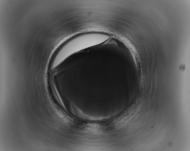 X0000098010391200804181141