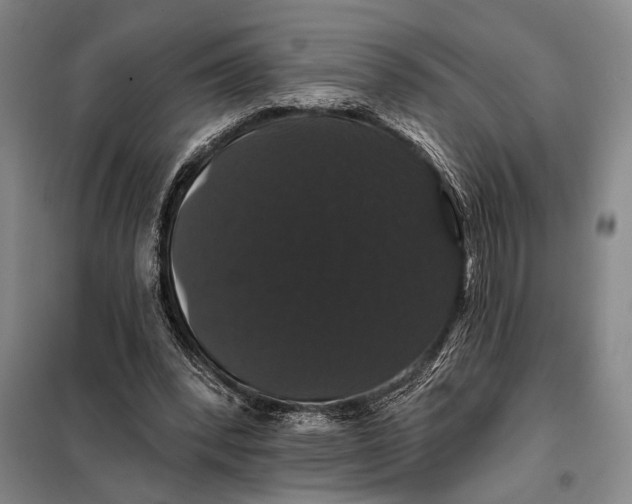 X0000098010392200804181141