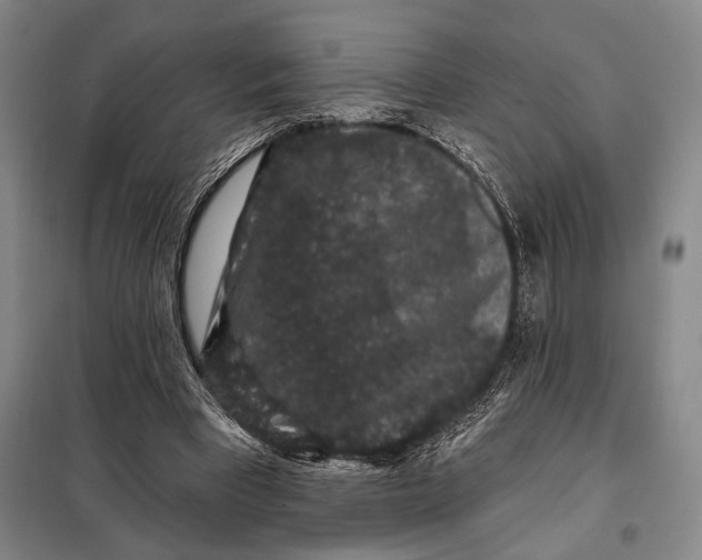 X0000098010393200804181141