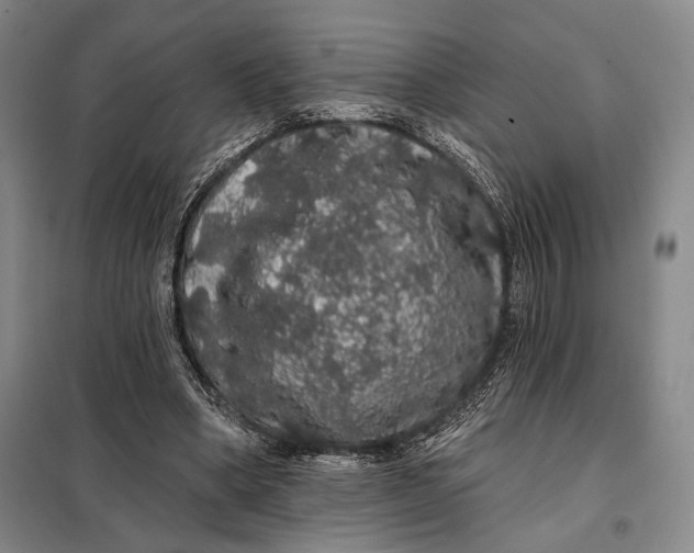 X0000098010394200804181141