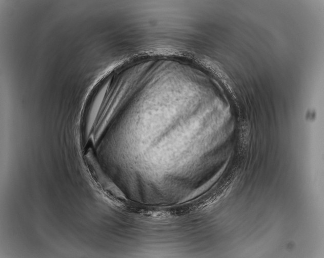 X0000098010395200804181141