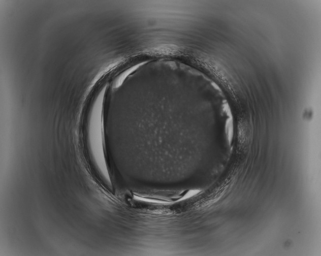 X0000098010396200804181141