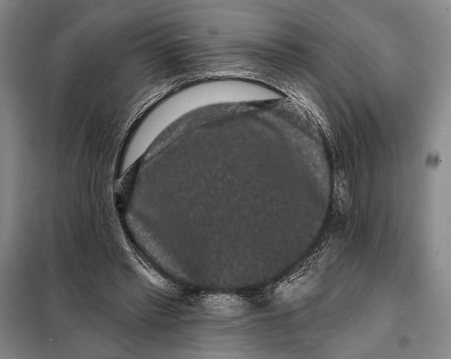 X0000098010397200804181141