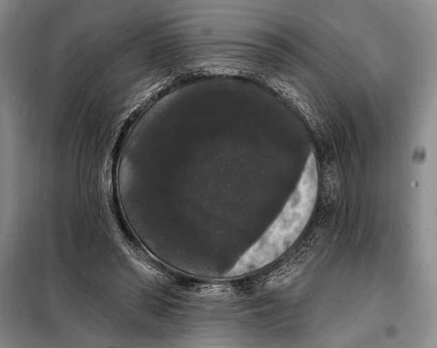 X0000098010398200804181141