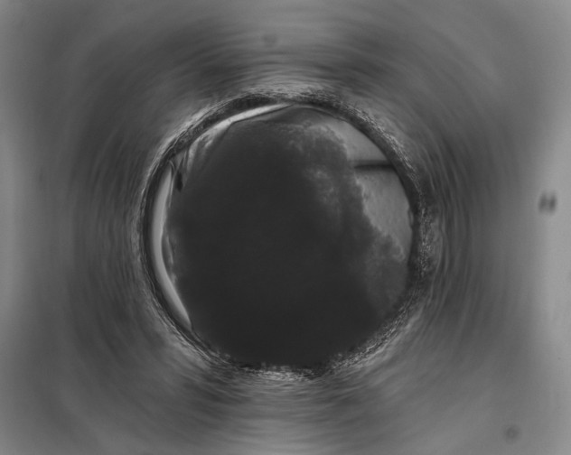 X0000098010399200804181141