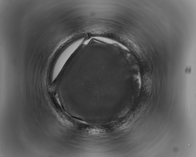 X0000098010400200804181141