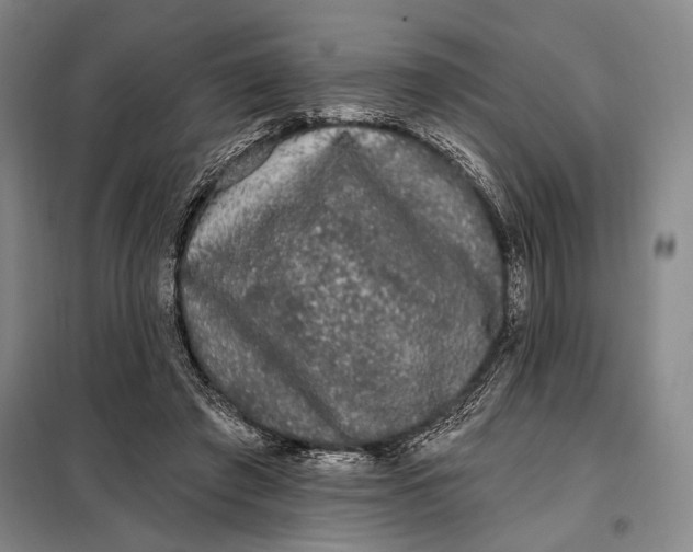 X0000098010401200804181141