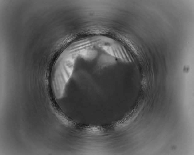 X0000098010402200804181141